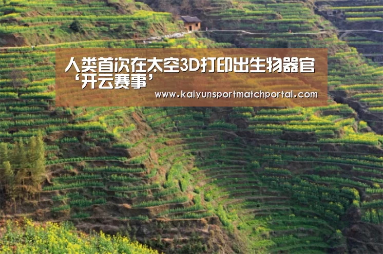 人类首次在太空3D打印出生物器官‘开云赛事’(图2) 开云官网导航